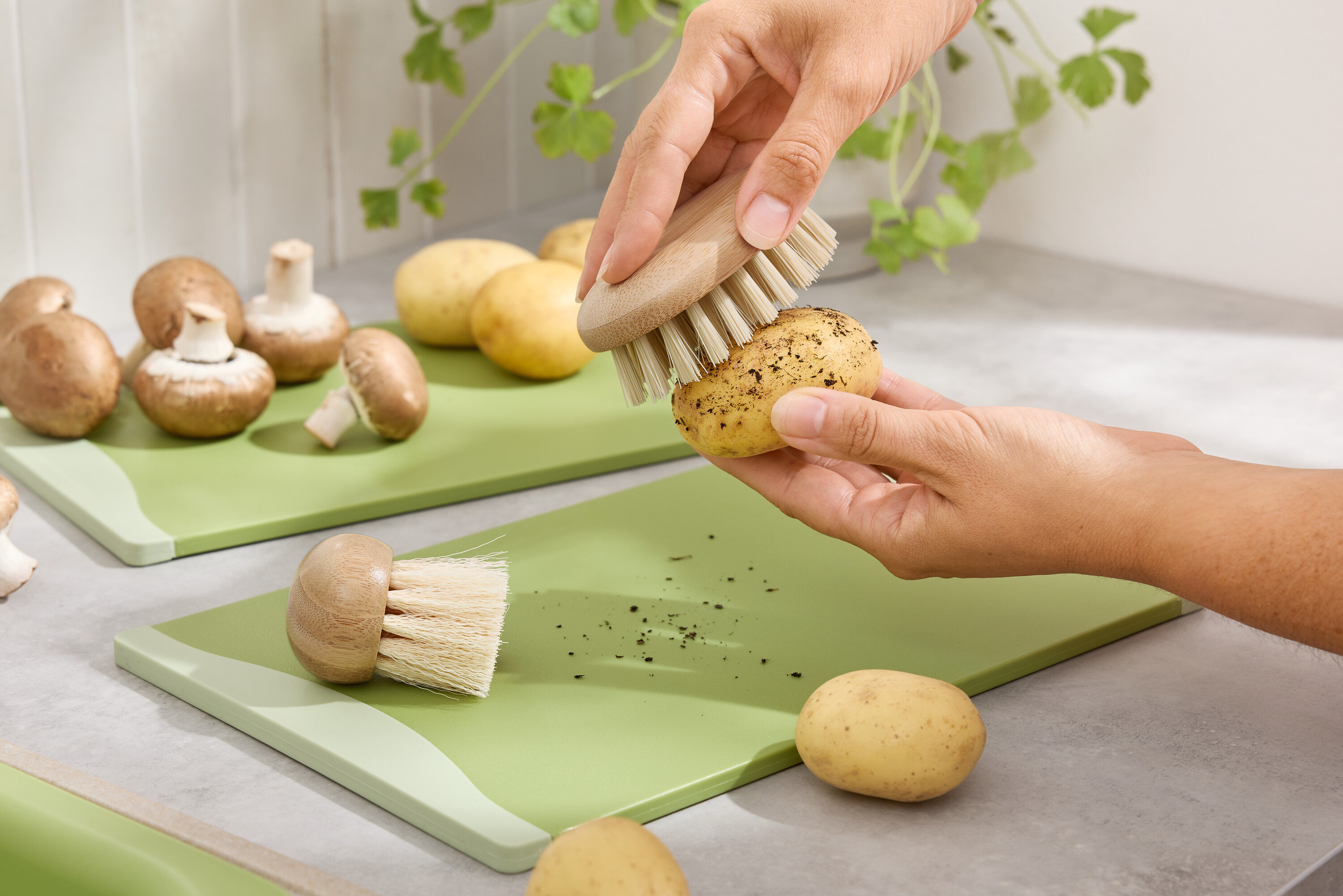 Hände putzen eine Kartoffel mit einer Bürste auf einem grünen Schneidebrett. Braune Champignons und Kartoffeln sind im Hintergrund.