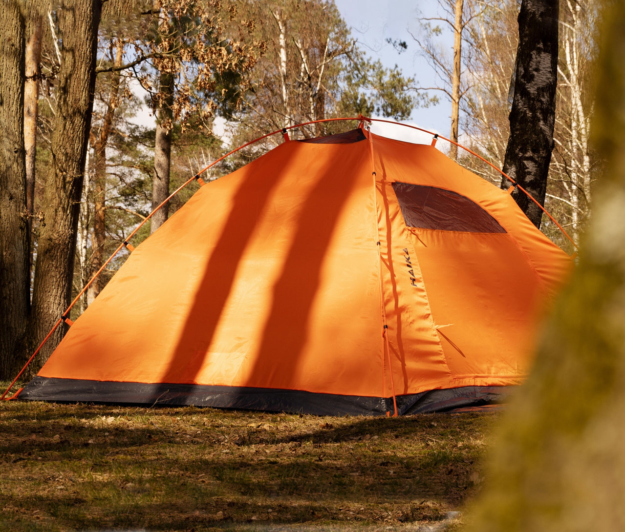 Nahaufnahme eines orangefarbenen Tambu »HAIKA 4« 4-Personen-Kuppelzelts im Wald.