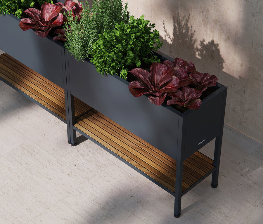 Hochbeet mit Salat und Kräutern auf einer Holzablage vor einer Wand.