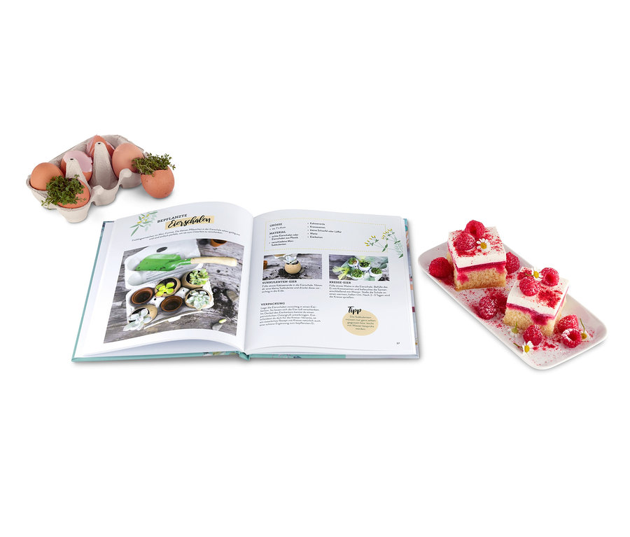 Geöffnetes Buch »Endlich Frühling – Basteln, Backen und Dekorieren« neben einem Teller mit Himbeerschnitten und einer Eierpalette.