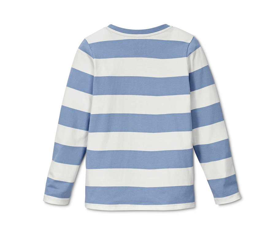 Gestreiftes Langarmshirt in Blau und Weiss.