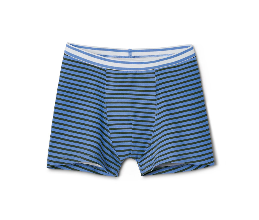 Eine einzelne Jungen-Slipboxer mit blauen und schwarzen Streifen.