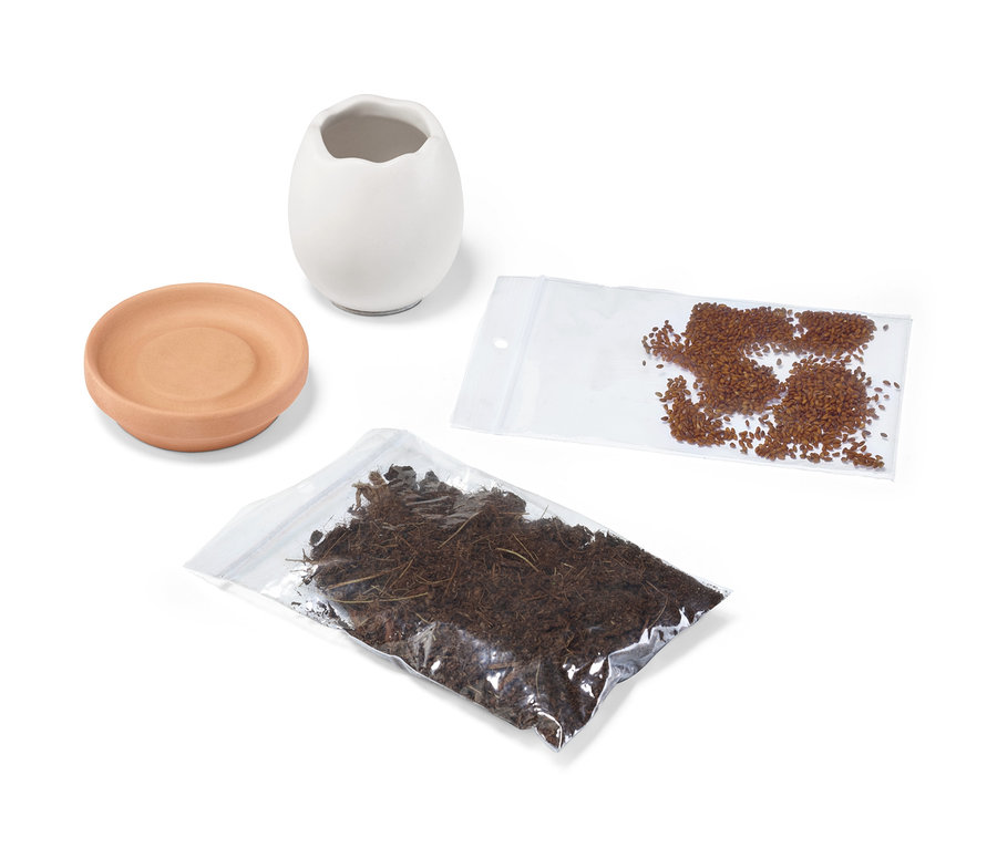 Ein Kresse-Ei-Set beinhaltet ein Keramik-Ei, eine Schale, Erde und Samen.