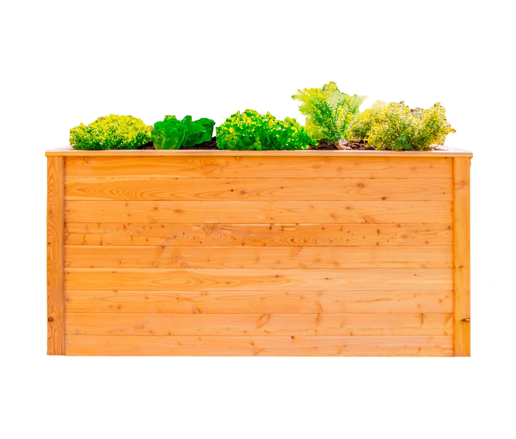 Tchibo - Hochbeet - 170x90x84cm - naturfarben - Holz / Polyethylen