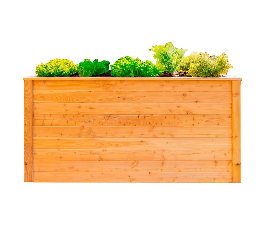 Ein Hochbeet aus Lärche (170 cm) bepflanzt mit verschiedenen Gemüsesorten.