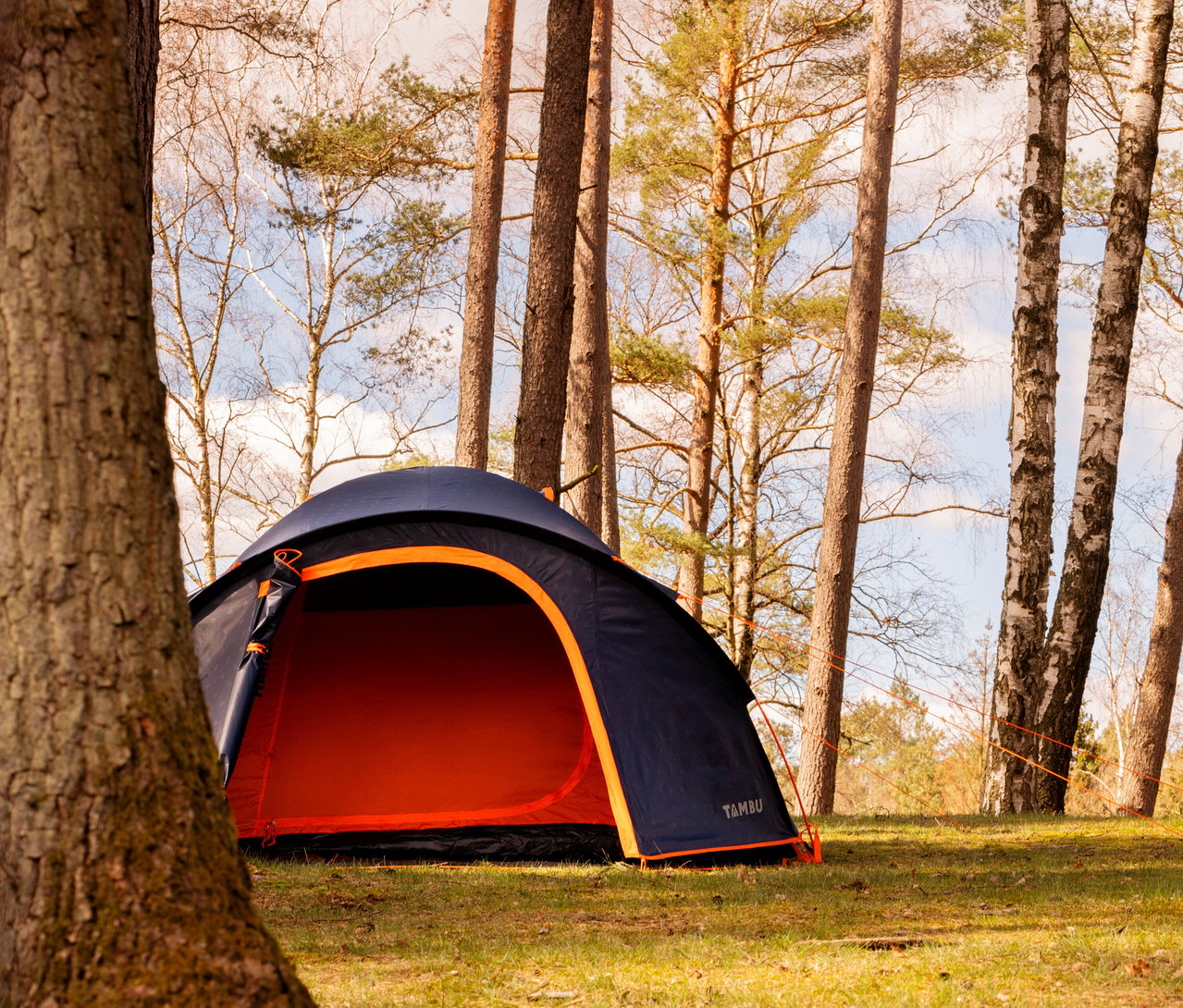 Auf einer Wiese im Wald steht ein blaues Tambu »HAIKA 2« 2-Personen-Kuppelzelt mit orangefarbenem Eingang.
