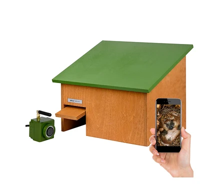 Igelhaus aus Holz mit grünem Dach, einer grünen Kamera und einer Hand, die ein Smartphone mit einem Igelbild hält.