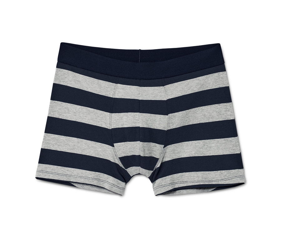 Eine einzelne Slipboxer mit blau-grauen Streifen.