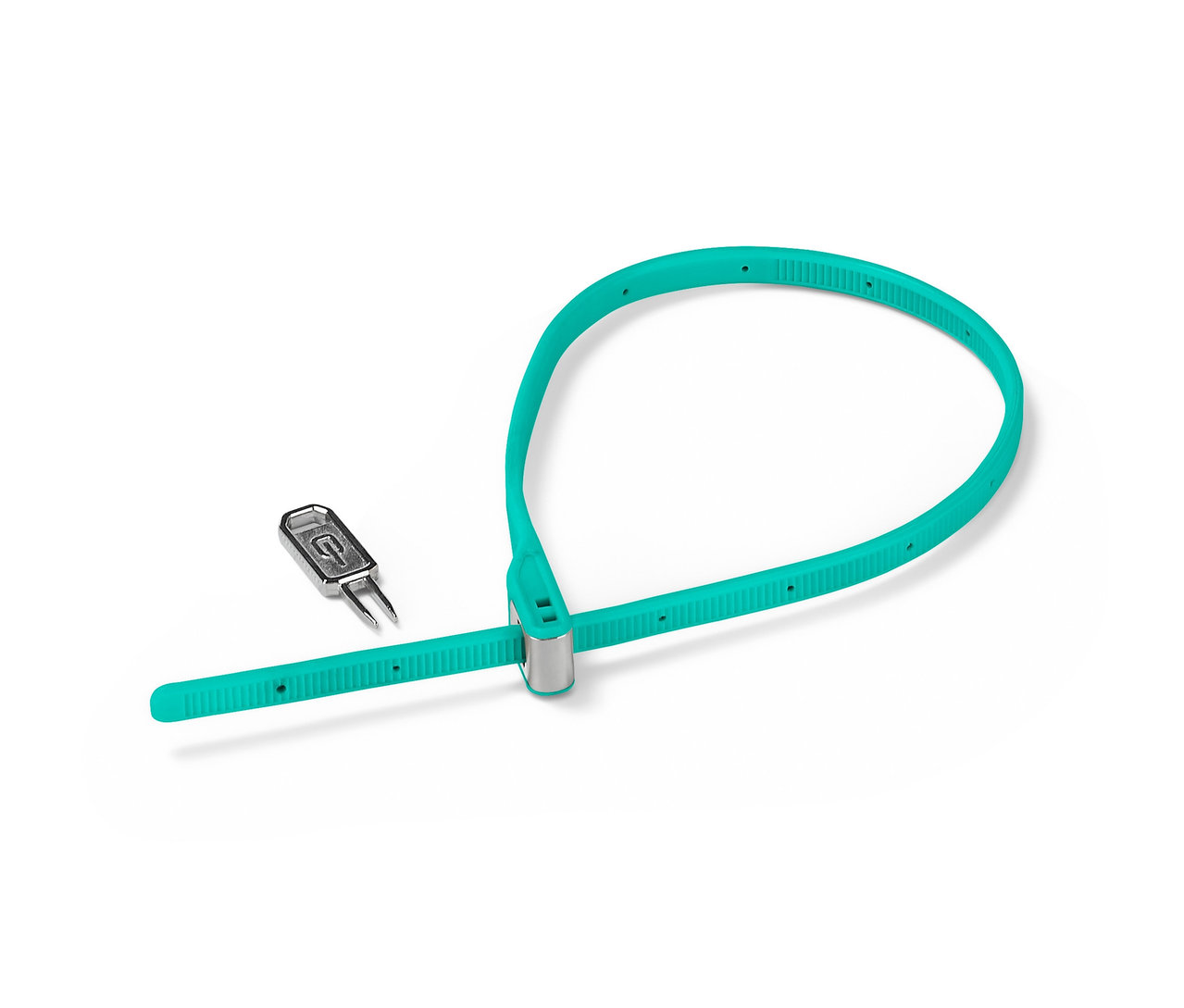 Ein türkisfarbenes Kabelbinderschloss und ein silberner Schlüssel liegen auf einem weißen Hintergrund.