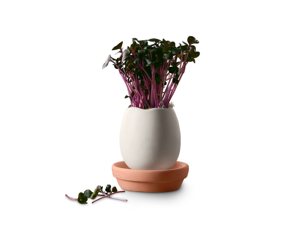 Ein Osterei mit Saatgut auf einer Terrakotta-Untertasse.