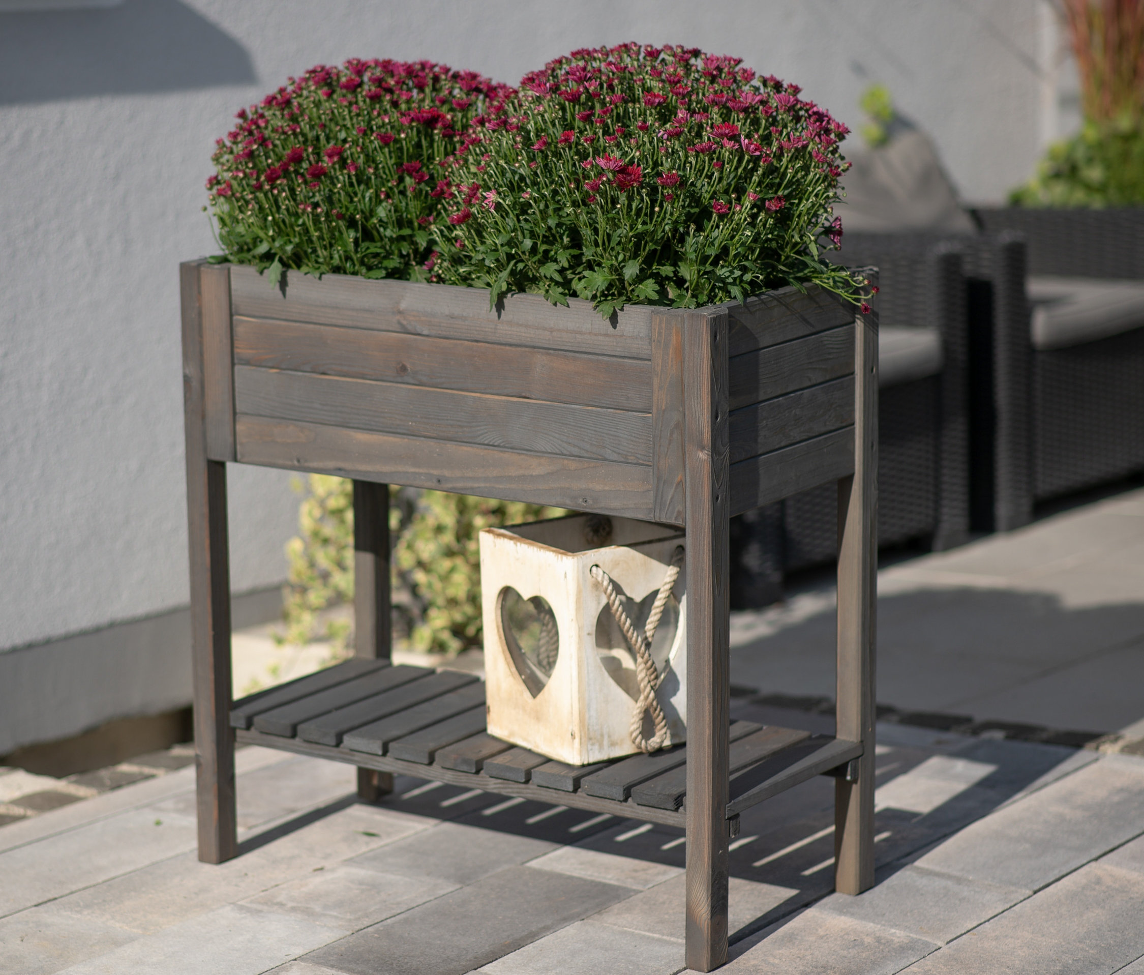 Zwei Büschel roter Blumen in einem grauen Hochbeet ca. 79 x 79 x 39 cm. Auf dem unteren Regal steht eine weiße Laterne.