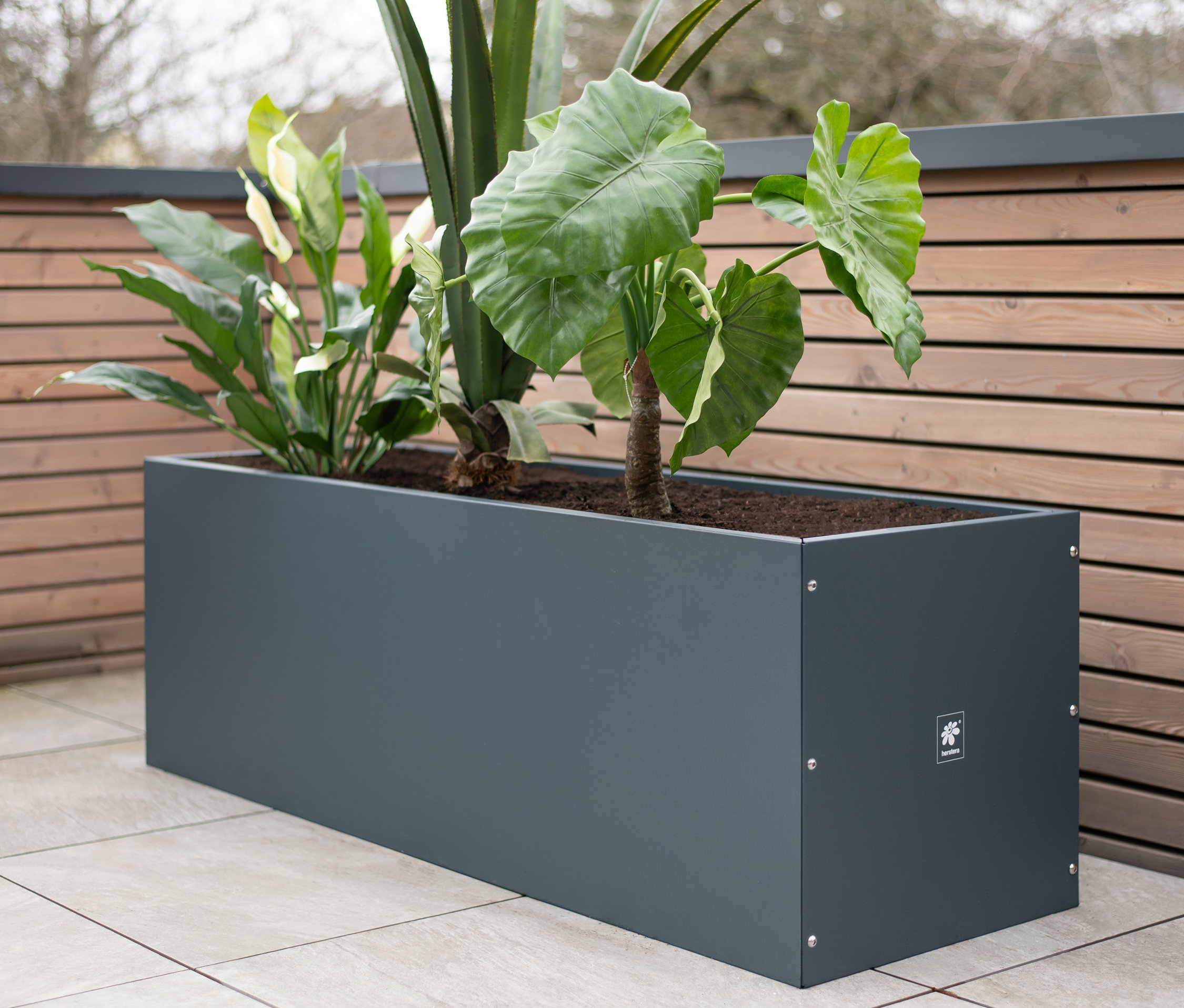 Ein anthrazitfarbener Herstera Garden Pflanzkasten, ca. 50 x 50 x 150 cm, bepflanzt.