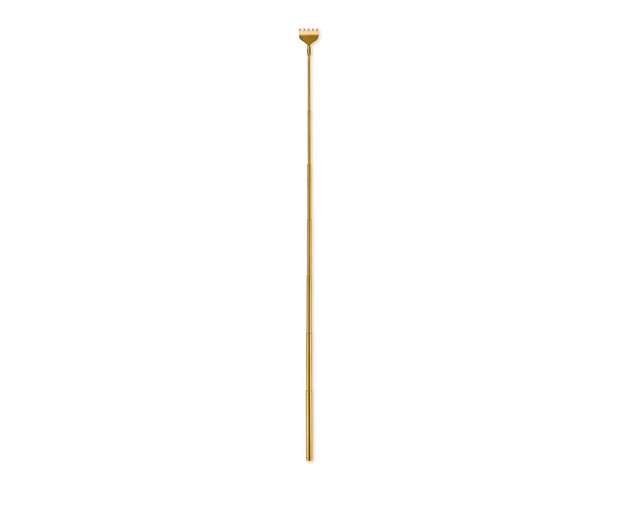 Goldener Teleskop-Rückenkratzer.