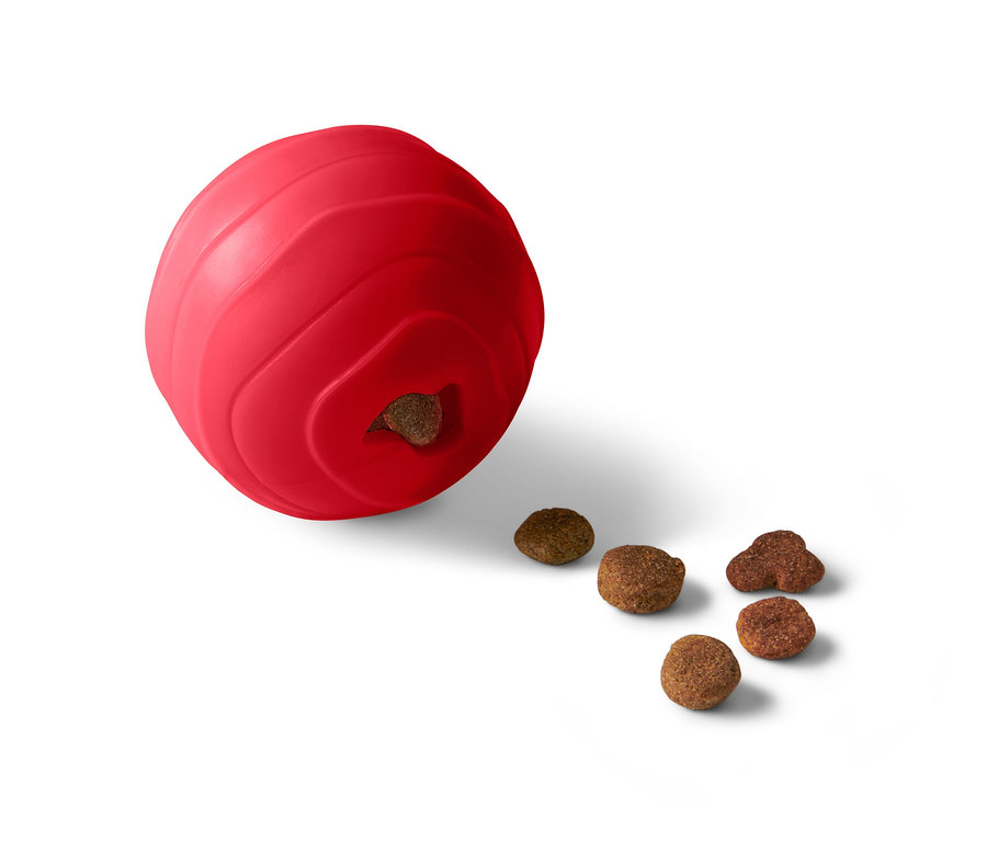 Ein rotes Hundespielzeug »Snackball« und fünf Stück Hundefutter auf einem weißen Hintergrund.