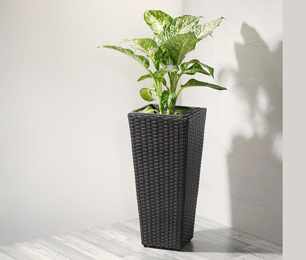 Grüne Pflanze in anthrazitfarbener Pflanzsäule aus Polyrattan, Höhe ca. 60 cm.