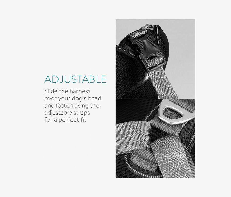 Detailaufnahme eines schwarzen Hundegeschirrs mit verstellbaren Riemen.