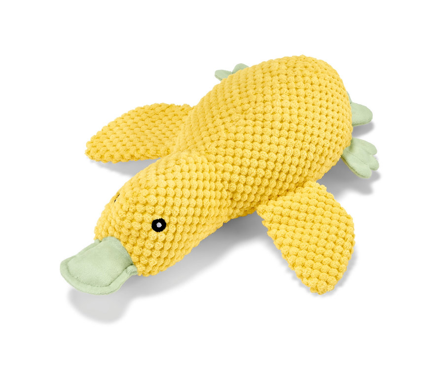 Ein Hunde-Plüschspielzeug »Ente« liegt auf einem weißen Hintergrund.