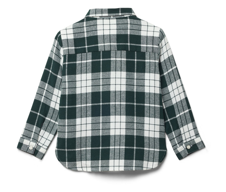 Rückansicht eines grün-weiß karierten Langarmhemdes.