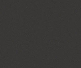 Einfarbiger, dunkelgrauer Hintergrund.