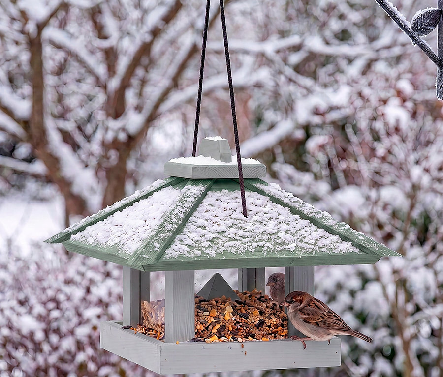 Ein hölzernes Vogelhaus, teilweise mit Schnee bedeckt, hängt in einer verschneiten Winterlandschaft. Zwei Spatzen sitzen auf dem Futterhaus, einer am Rand und einer innen, und fressen Vogelfutter. Im unscharfen Hintergrund sind schneebedeckte Bäume zu sehen.