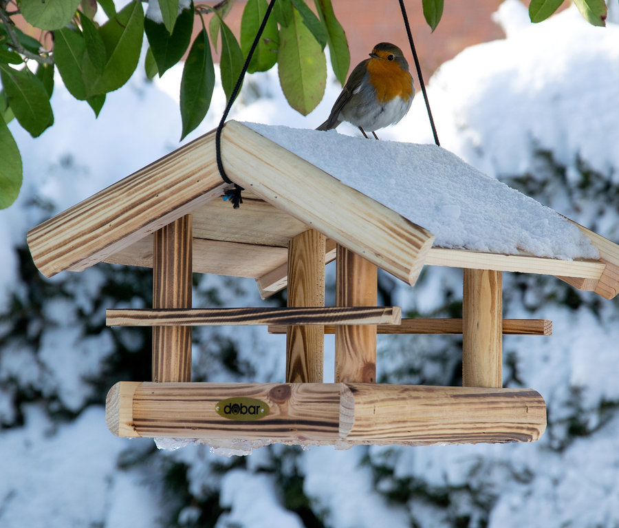 Ein Rotkehlchen sitzt auf dem schneebedeckten Vogelfutterhaus »Quemado«.