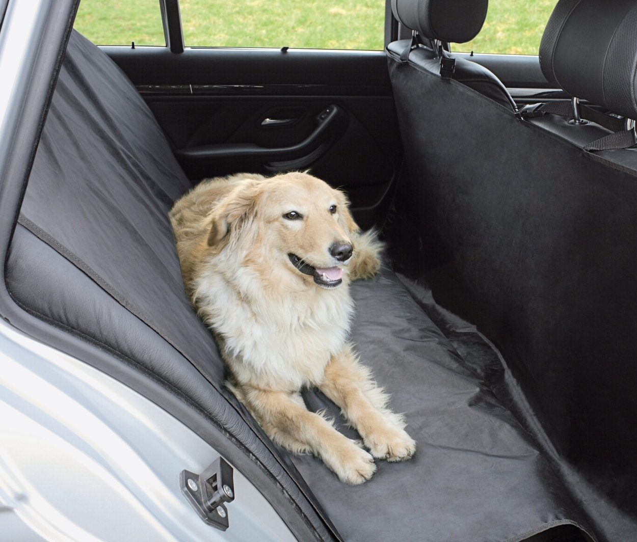 Golden Retriever liegt auf Hunde Autositz-Schutzdecke im Auto.
