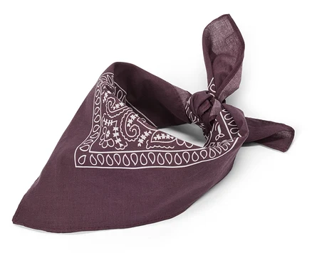 Dunkelviolettes Bandana-Tuch mit weißem Paisleymuster, zu einem Dreieck gefaltet und geknotet.