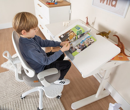Junge sitzt auf einem Bürostuhl am Schreibtisch und liest ein Buch. Auf dem Tisch stehen Deko-Dinosaurier und eine Giraffe.