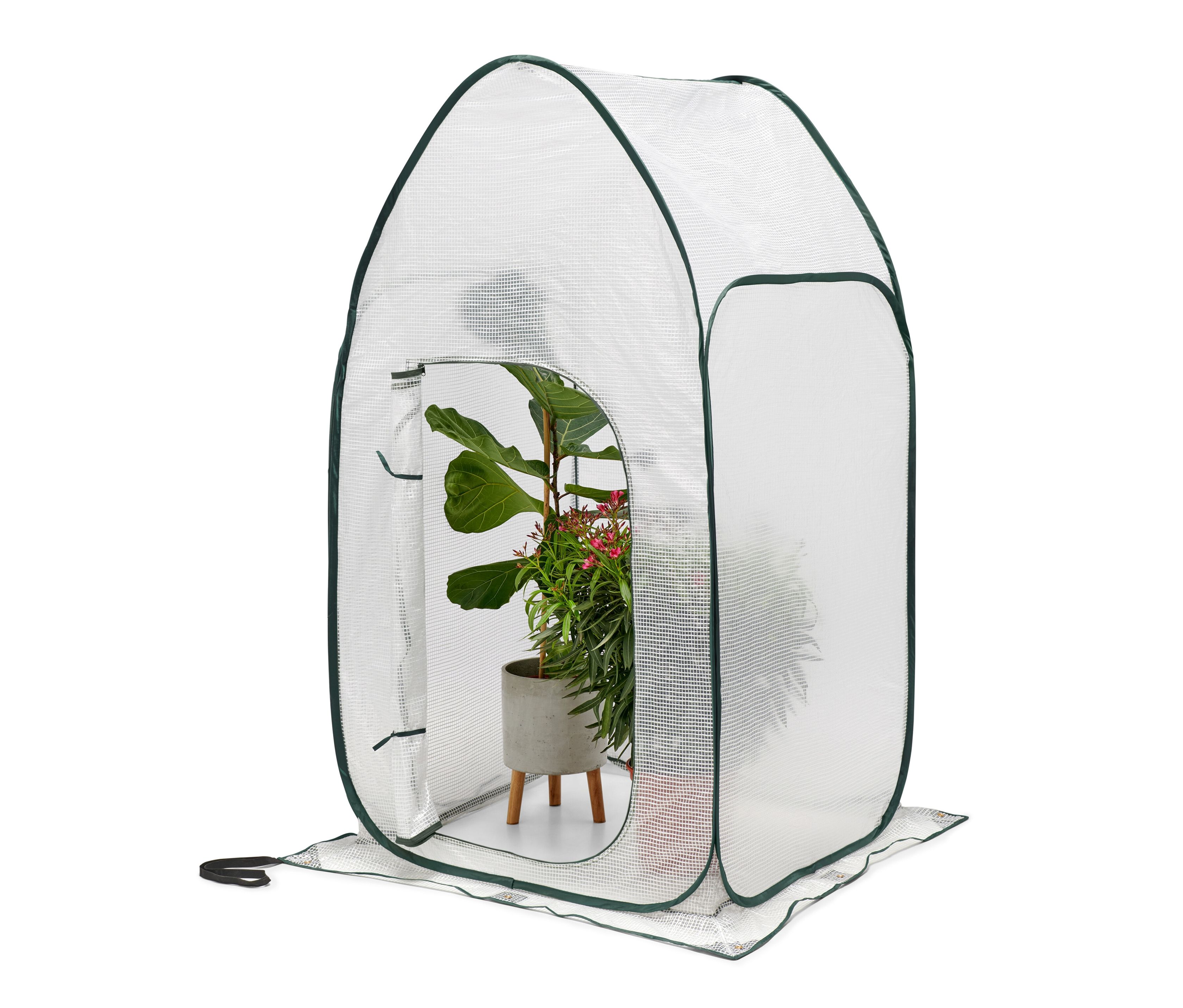 Tchibo - Hohes Pop-up-Pflanzenschutz-Zelt - 100x100x190cm - dunkelgrün - Polyethylen / Fiberglas / Polyester
