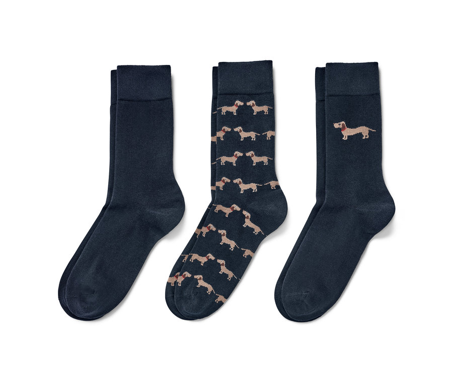 Drei Paar Socken: ein Paar marineblau, eines mit Dackeln, eines mit einem Dackel.