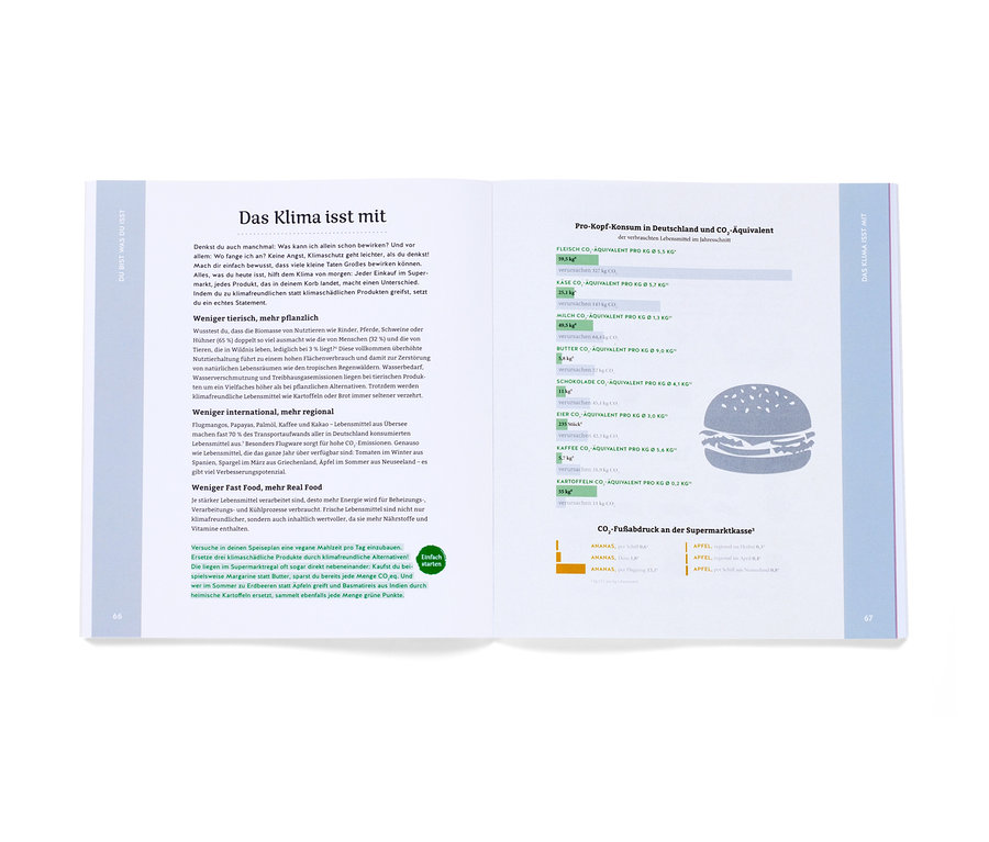 Eine Buchseite mit Text oben und Infografiken unten. Das Buch heißt »Lecker kochen, aber nachhaltig«.