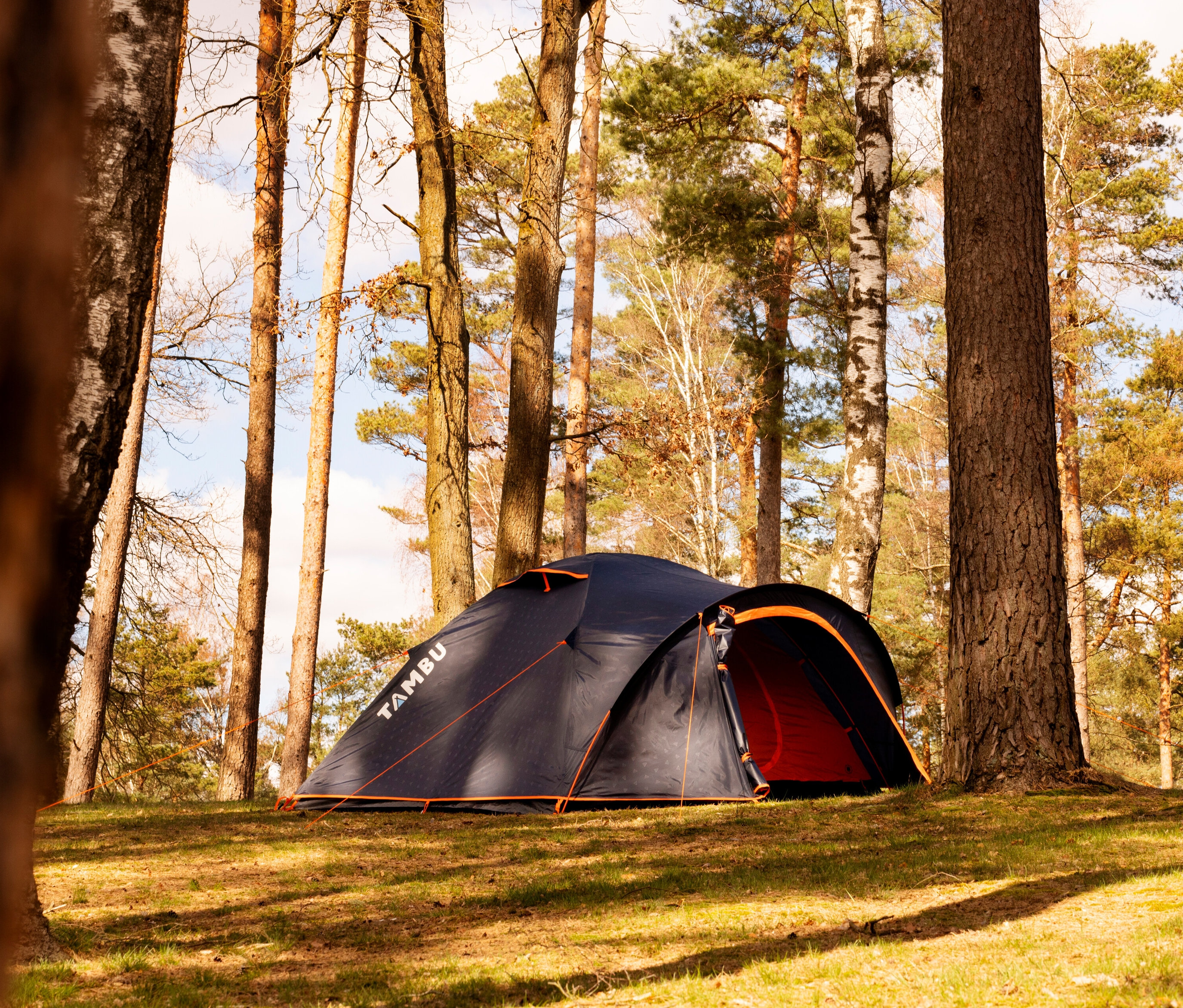Das Tambu »HAIKA 3« 3 Personen Kuppelzelt steht auf einer Wiese im Wald.