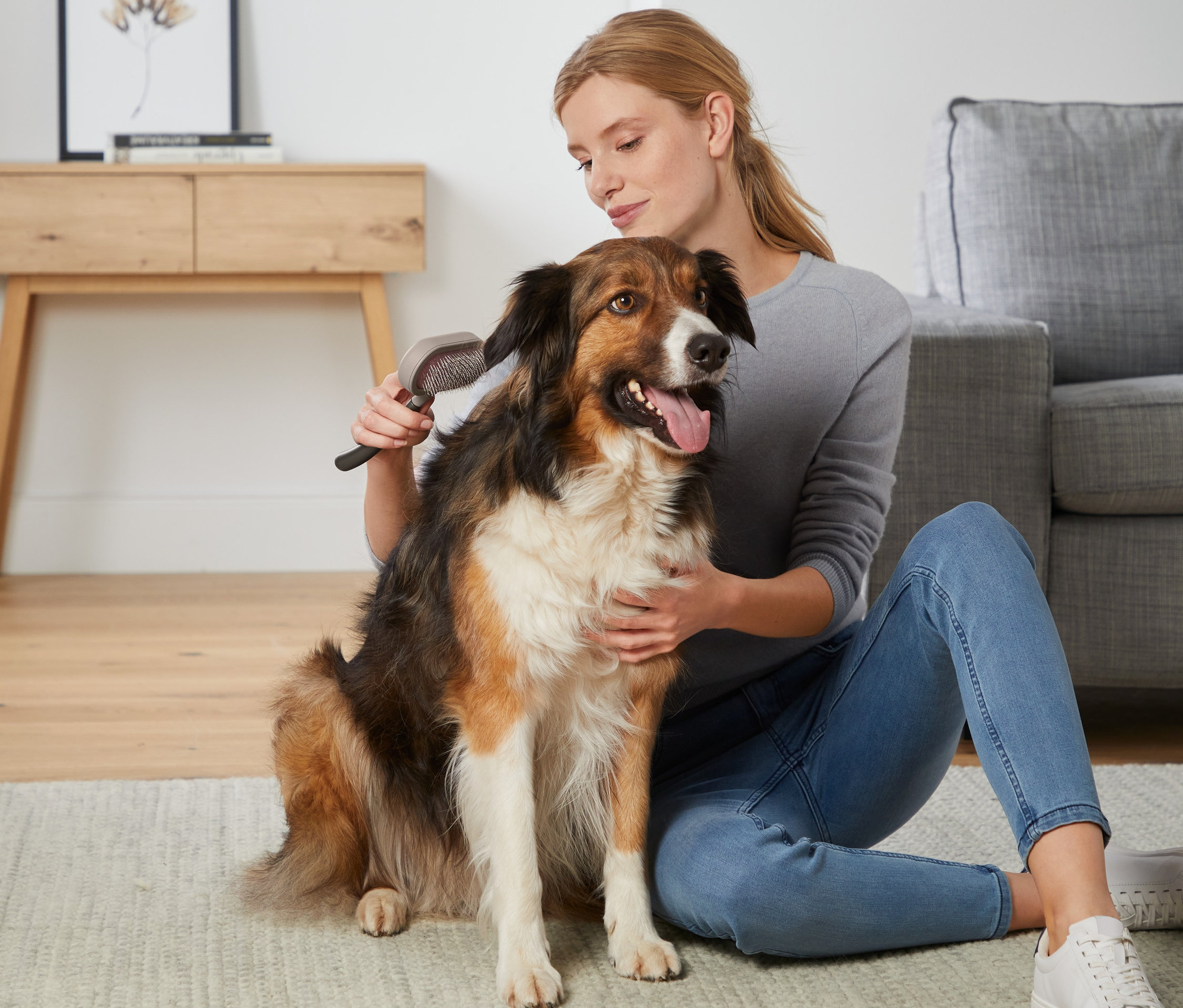 Frau bürstet das Fell eines Hundes mit einer Tier-Fellbürste.