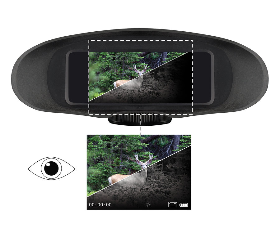 Blick durch das digitale NATIONAL GEOGRAPHIC 3,5x Nachtsichtgerät auf einen Hirsch im Wald.