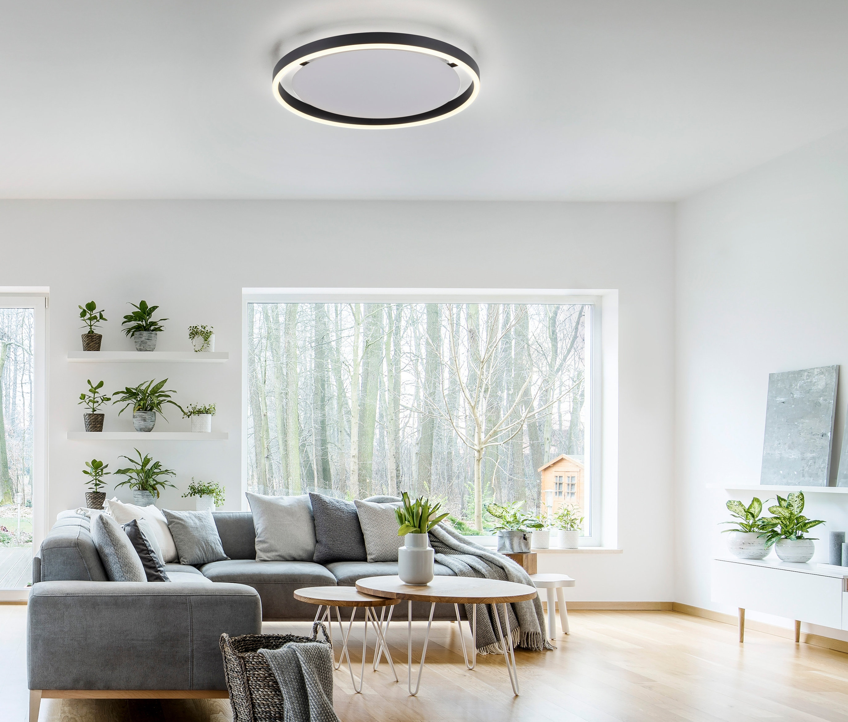 Wohnzimmer mit grauer Couch und JUST LIGHT . LED Deckenleuchte »Ritus«.