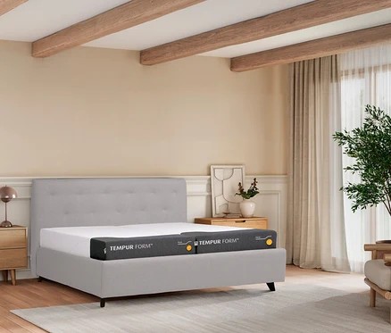 Schlafzimmer mit grauem Bett, Nachttisch, Lampe und Zimmerpflanze.