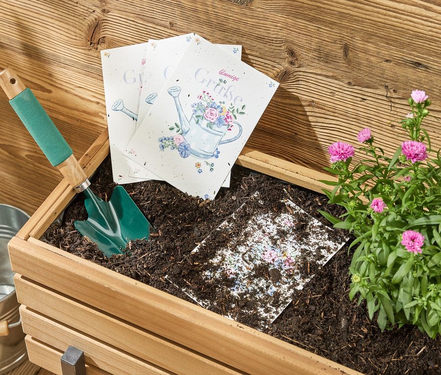 Eine Holzkiste mit Blumenerde, in der eine Schaufel, Blumensamenpapier und Glückwunschkarten liegen, daneben ein Eimer und eine blühende Pflanze.