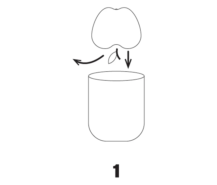 Die Illustration zeigt ein Schema, wie eine Einlage in einen Becher gelegt wird.