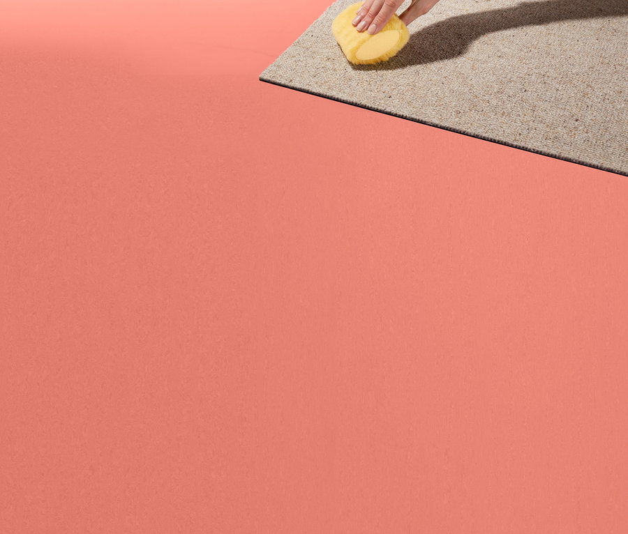 Eine Hand hält eine Fleckenmaus und reinigt einen Teppich.