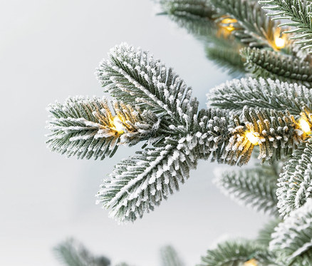 Nahaufnahme eines schneebedeckten Zweigs der Evergreen LED-Tanne »Nobilis«, 150 cm mit kleinen Lichtern.