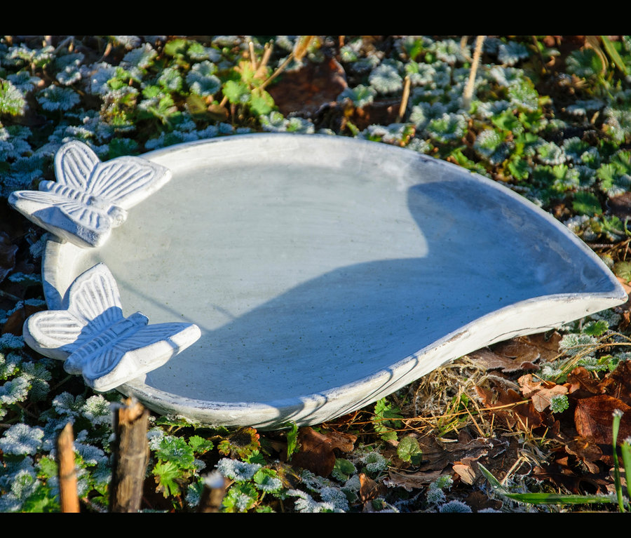 Ein graues Vogelbad-Insektentränke »Foglia« steht am Boden zwischen Pflanzen.