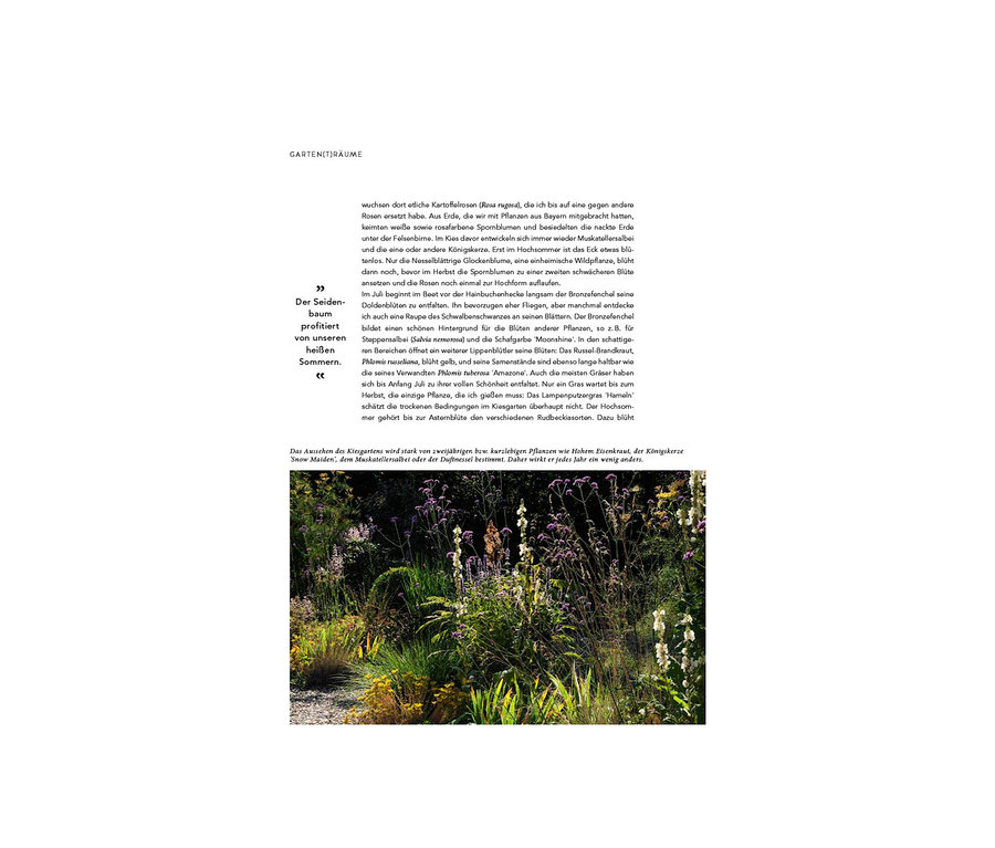 Ein blühender Garten mit verschiedenen Pflanzen, darunter Salbei und Eisenkraut. Im Hintergrund ist das Buch »Mein summendes Paradies« zu sehen.