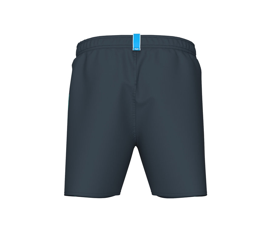 Graue arena Badeshorts Fundamentals Logo.