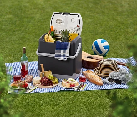 Picknick auf einer karierten Decke mit offener AEG Kühlbox »KK 20«, gefüllt mit Obst und Getränken. Daneben Käse, Brot, Sandwiches, Wein, eine Gitarre und ein Volleyball.
