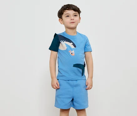 Ein Junge trägt ein hellblaues T-Shirt mit einem Hai-Design und passende Shorts.