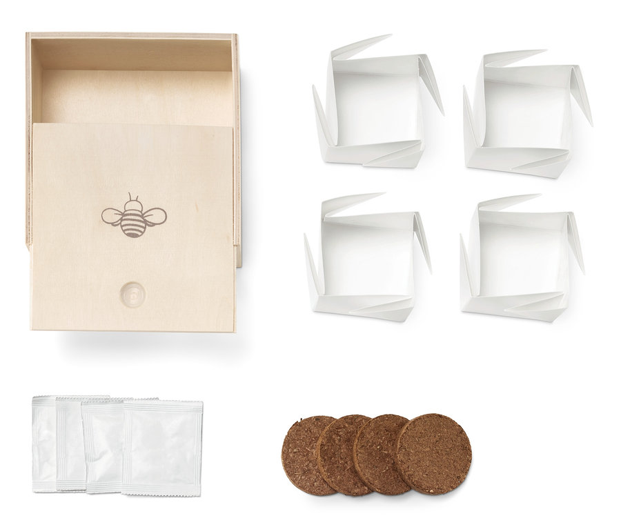 Geöffnete Anzucht-Box für Kinder mit Papiertöpfen, Samen und Substrat.