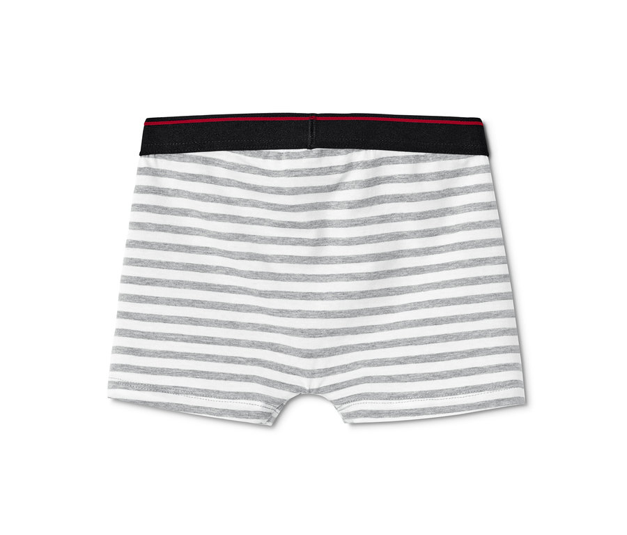 Eine Jungen-Slipboxer, schwarz-weiß gestreift.
