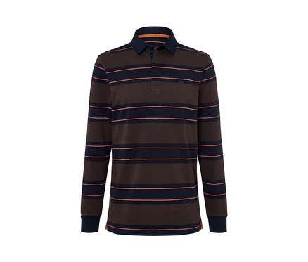 Ein braun-dunkelblau gestreiftes Langarm-Poloshirt.