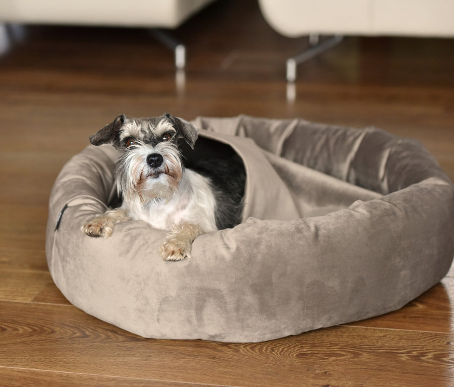 Ein Hund liegt in einem grauen Kuschelinsel »Lajos«.