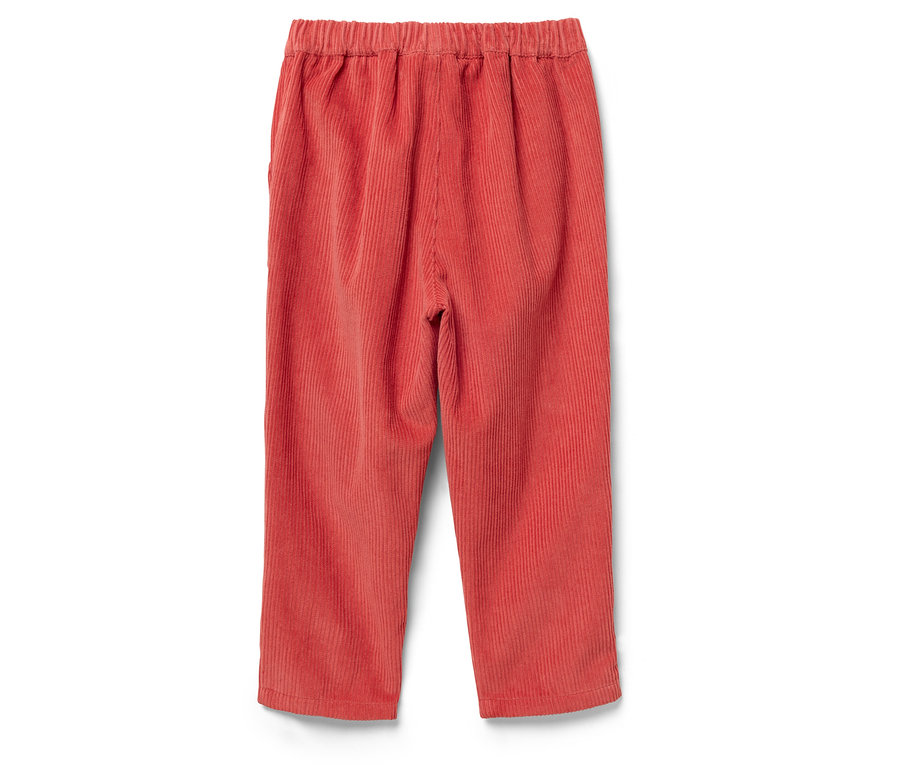 Detailansicht von hinten einer korallenroten Kordhose mit elastischem Bund auf weißem Hintergrund.